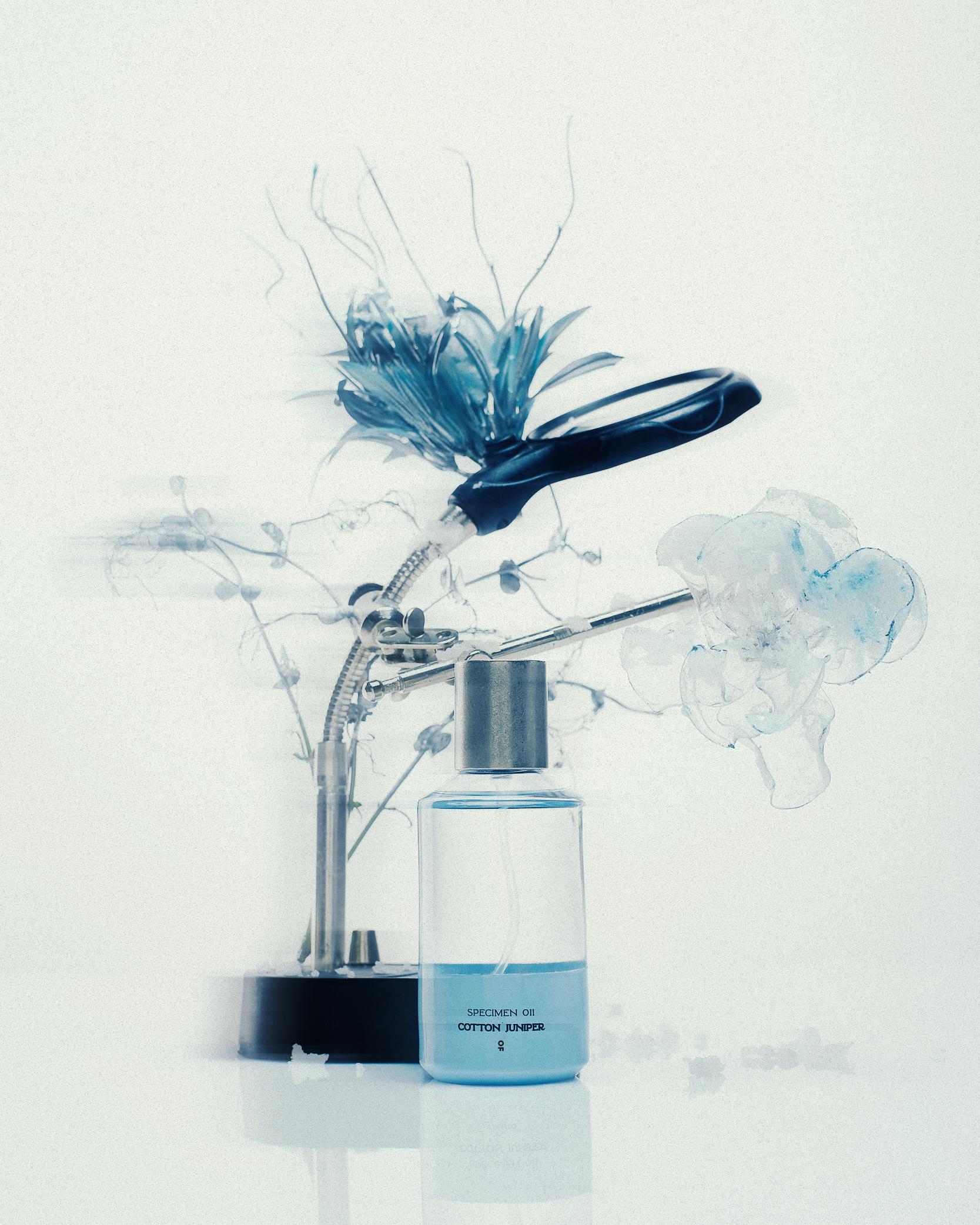 SPECIMEN 011 COTTON JUNIPER