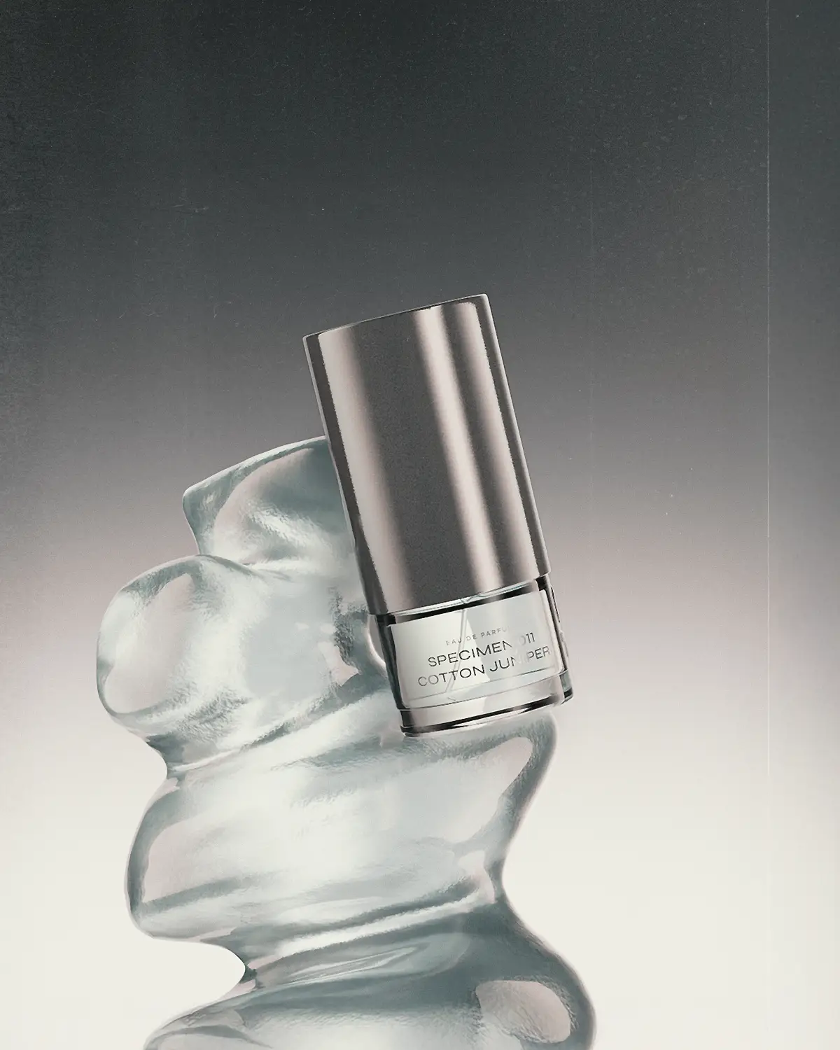 SPECIMEN 011 COTTON JUNIPER - Image 3